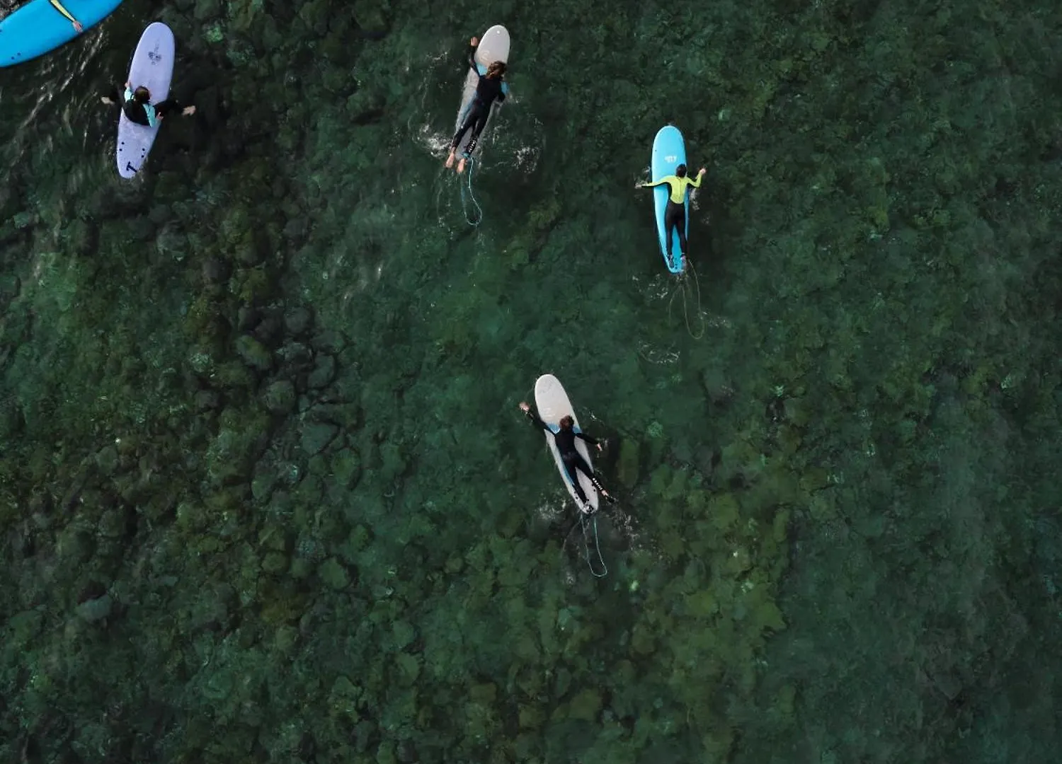 Adeje - Twinfin Hostel & Surf Yoga Camp Ξενοδοχείο