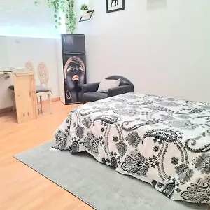 Pensión Loft Con Bano Y Cocina Privados 